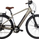 Vélo de Ville Électrique Bicyklet Basile Shimano Acera/Altus 8V 504 Wh 700 mm Gris