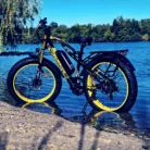 Cyrusher XF900 Vélo électrique puissant 750W 17Ah1