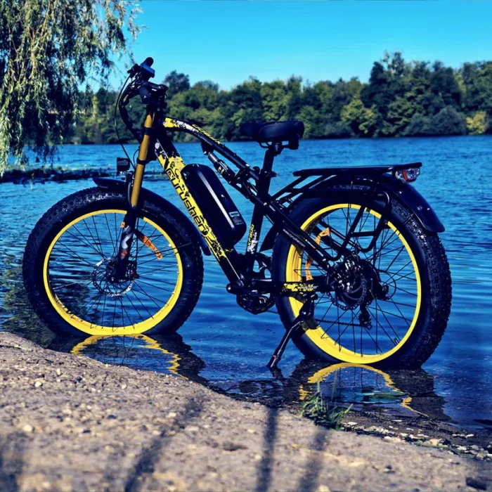 Cyrusher XF900 Vélo électrique puissant 750W 17Ah1 Cyrusher XF900 Vélo électrique puissant 750W 17Ah1