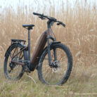 Giant-AnyTour-X-E-1-01-Fabien-Pionneau-Cleanrider