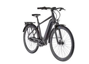 Giant DailyTour E+ 2