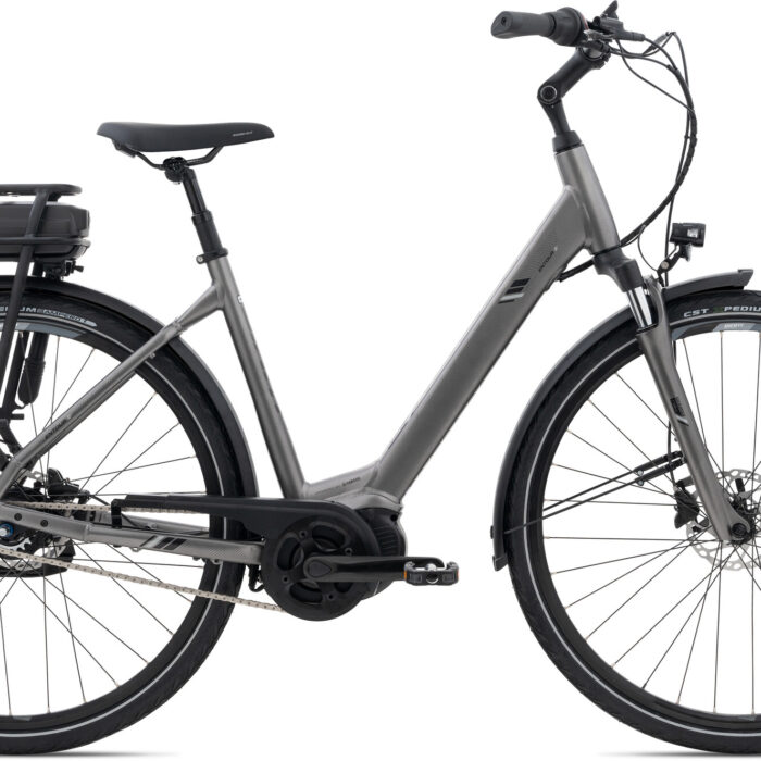 Giant Entour E+ 0 RT LDS