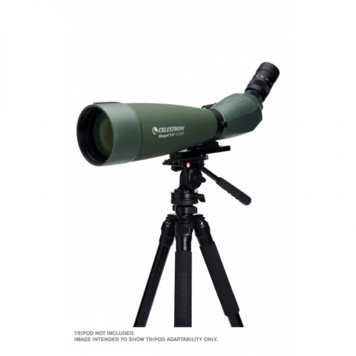 Longue-vue-Regal-M2-22-67x100-ED-CELESTRON-7.webp